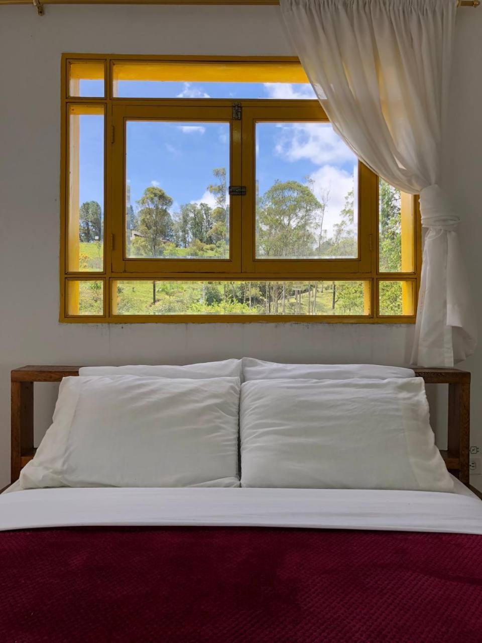 Alegria Hostel Boutique Guatape Room photo